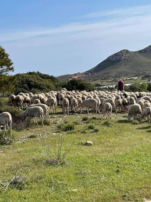 La Casa De Ladrillo, Relax Y Trekking House. Villa Murcia Kültér fotó